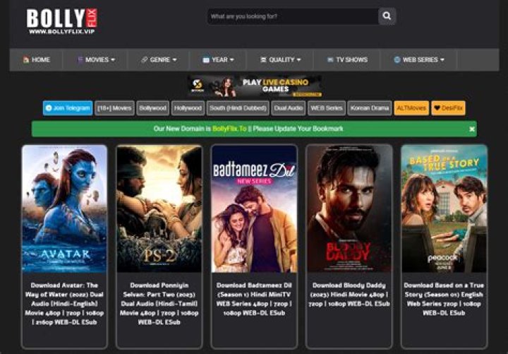 Bollyflix APK: Updated, Download & Guide for Bollywood Movies & TV